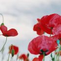 Remembrance services in Ulverston